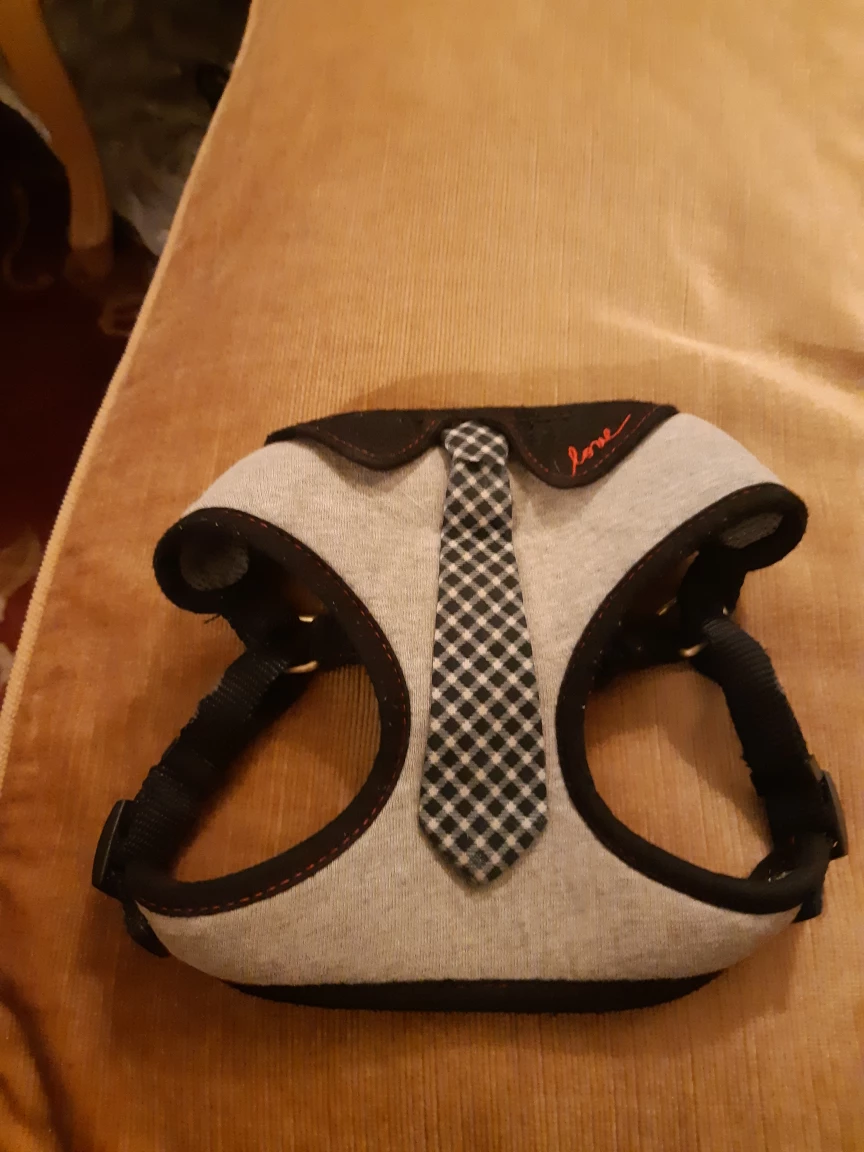 Dog Harness with Tie
