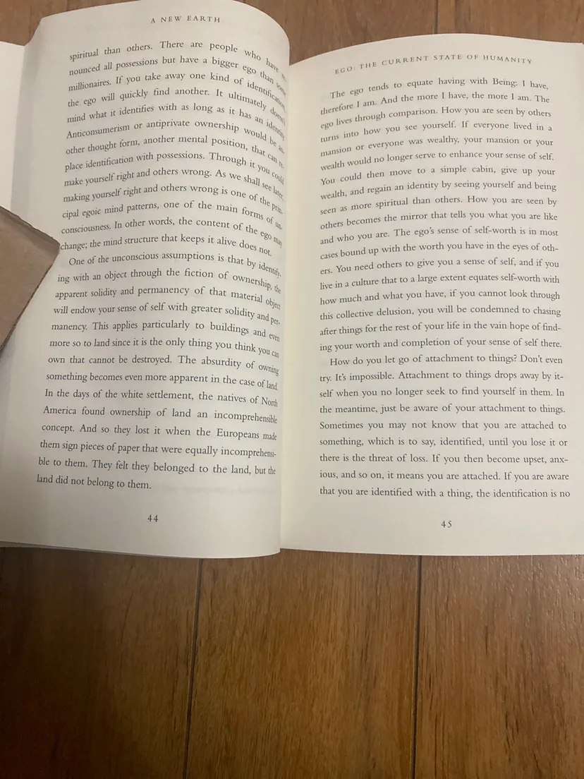 A New Earth by Eckhart Tolle 🧡 image indicator(3)