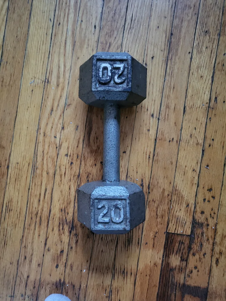 20 lb dumbbell thumbnail