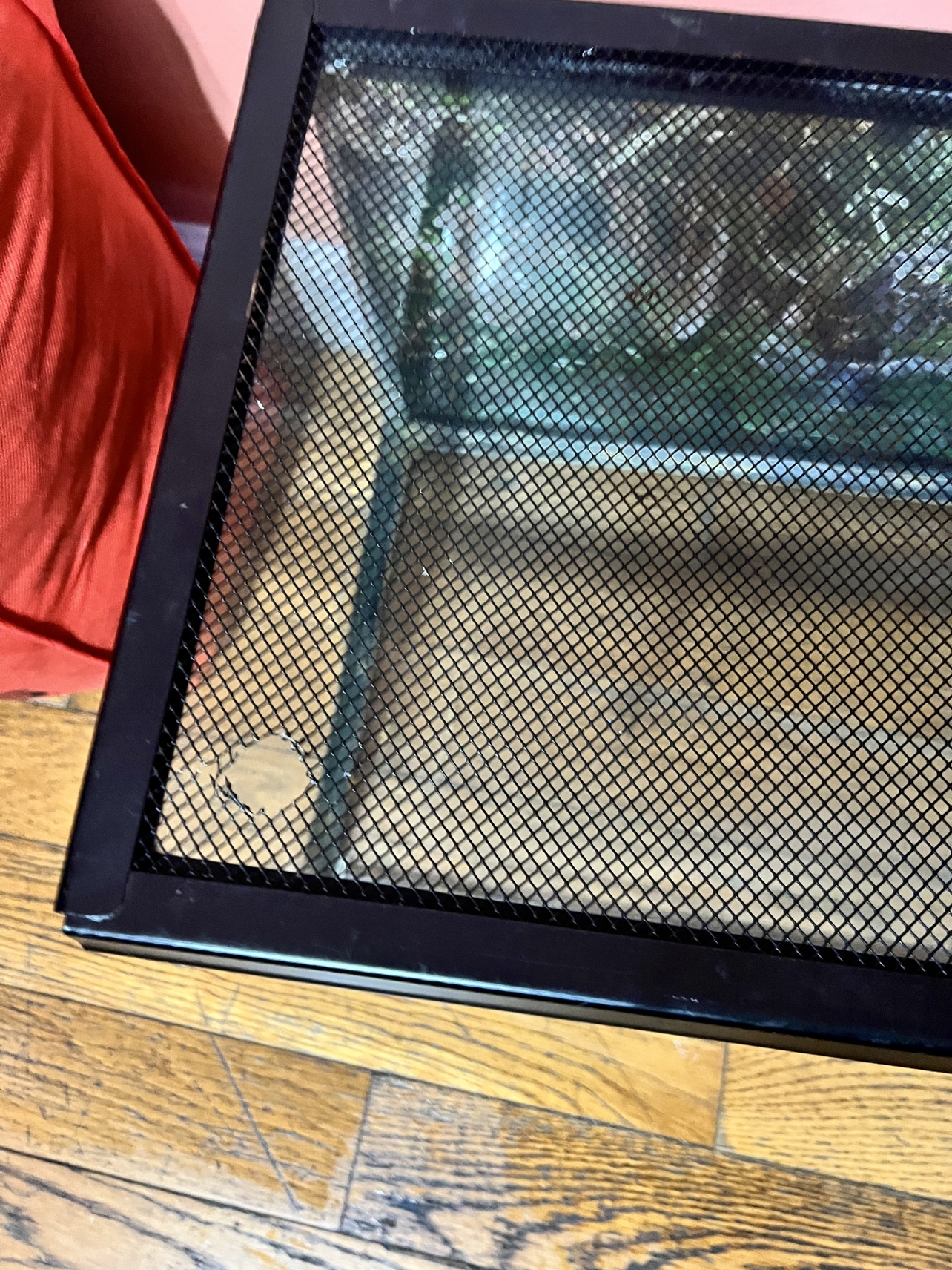 20 Gallon Fish Tank with lid - photo 4