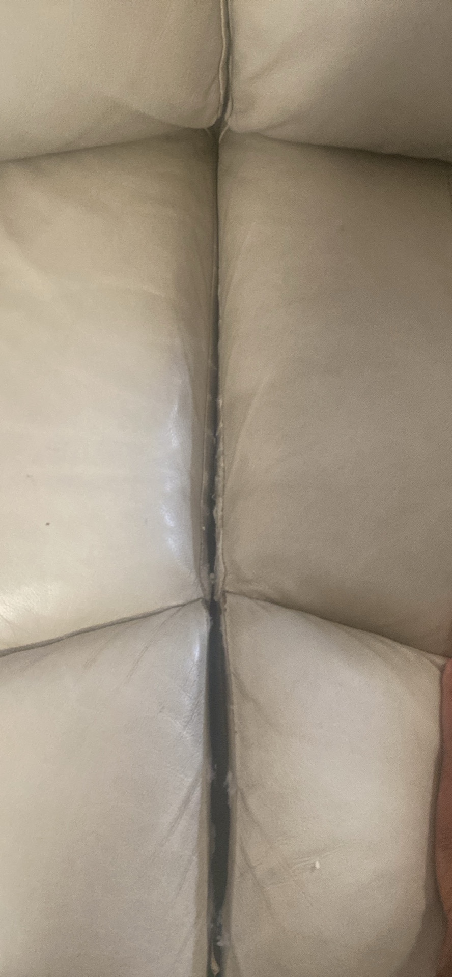 Leather Love Seat & sofa beige colour