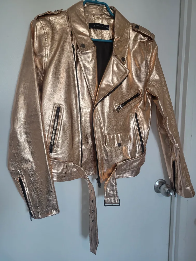 Zara Gold Leather Jacket image indicator(4)