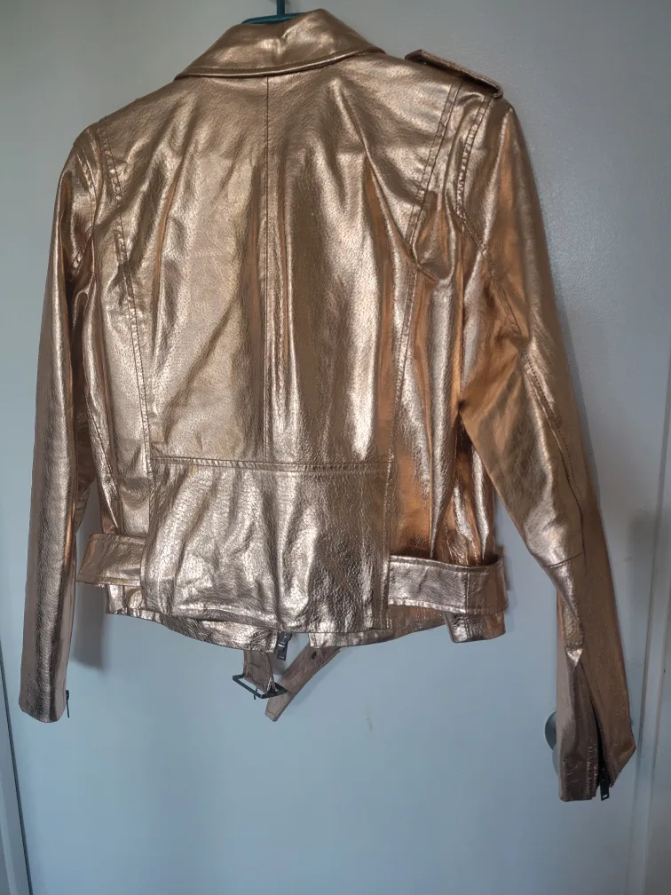 Zara Gold Leather Jacket image indicator(5)