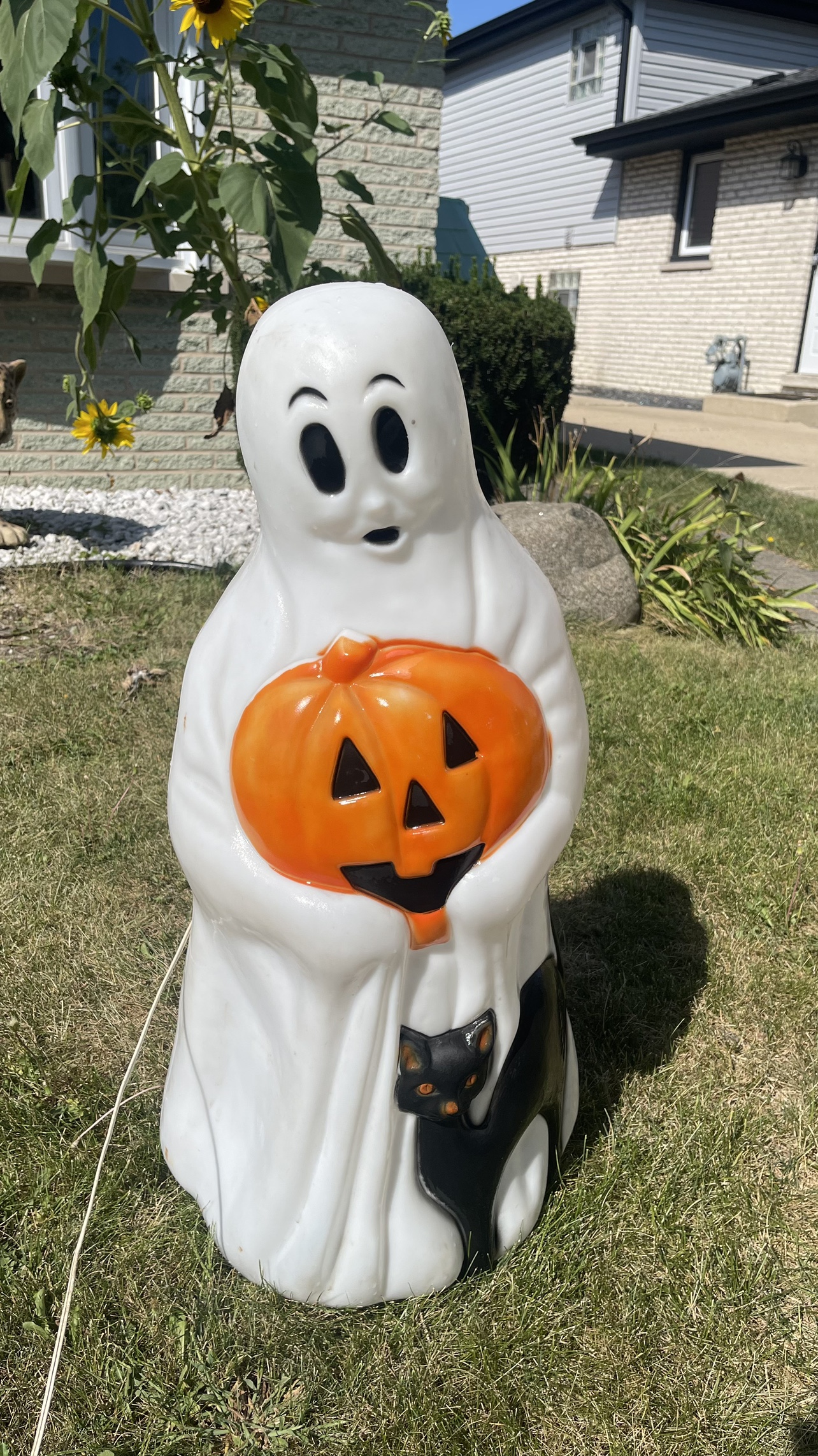 Halloween Ghost and Cat Yard Decoration Blowmold light up