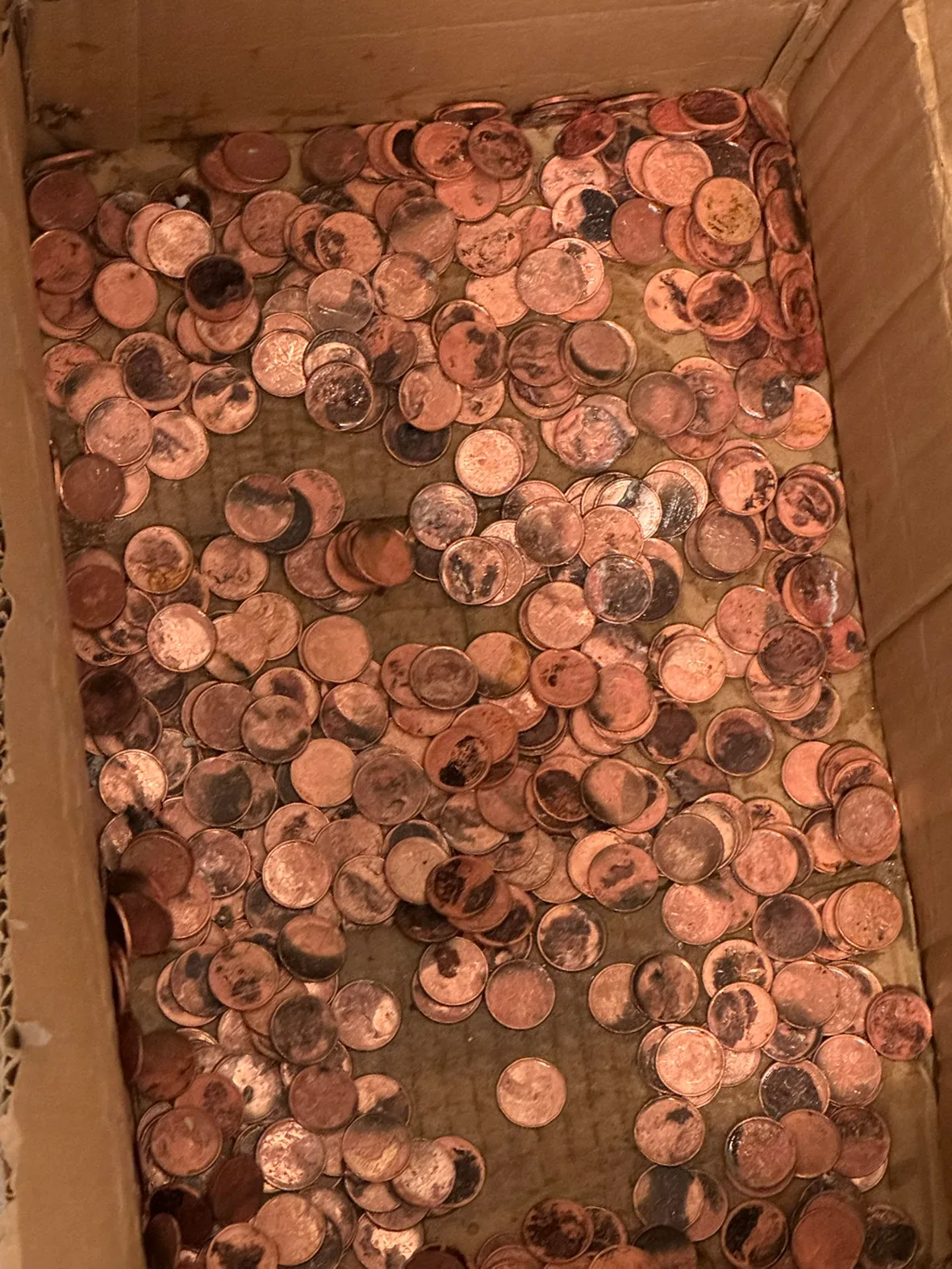 Pennies #freecyle thumbnail