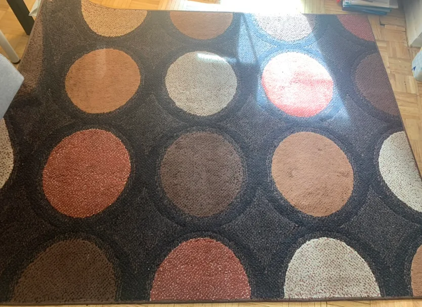 Moving Sale - Must Go ASAP! Large Area Rug thumbnail