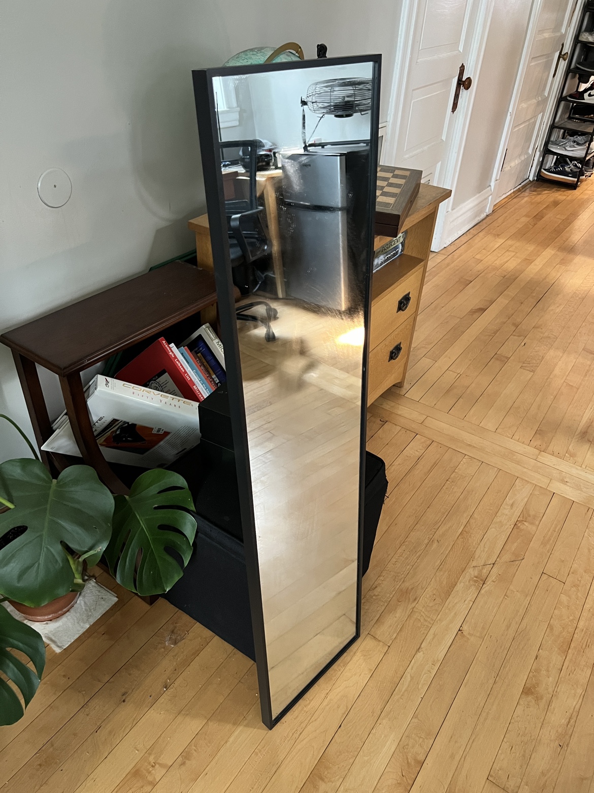 Full Length Black Framed Mirror