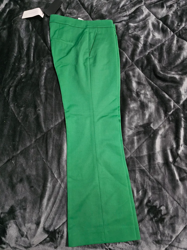 Green dress Pants from zara xs #ThriftyPicks image indicator(2)