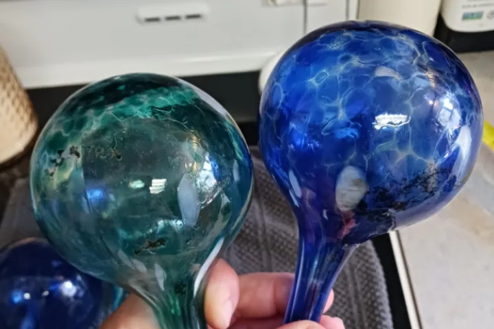 Set of 4 Glass Watering Bulbs holds 300ml per image indicator(3)