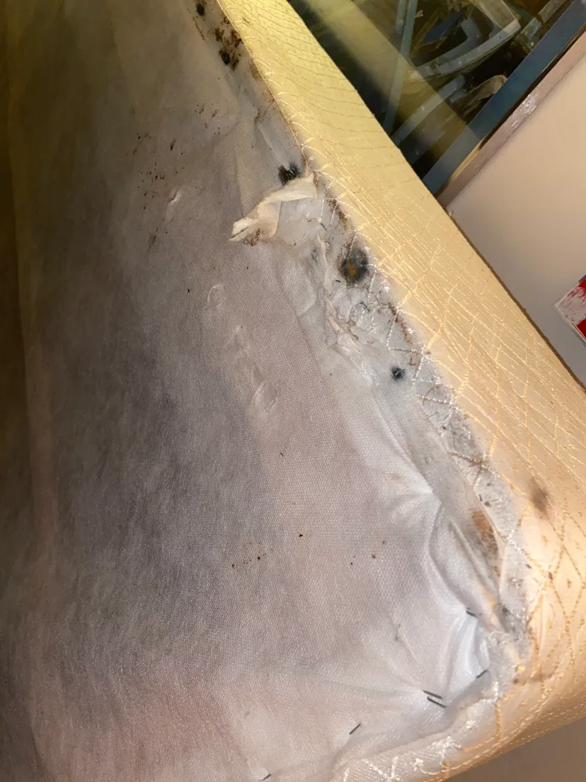 double bed box spring 🧡 image indicator(3)