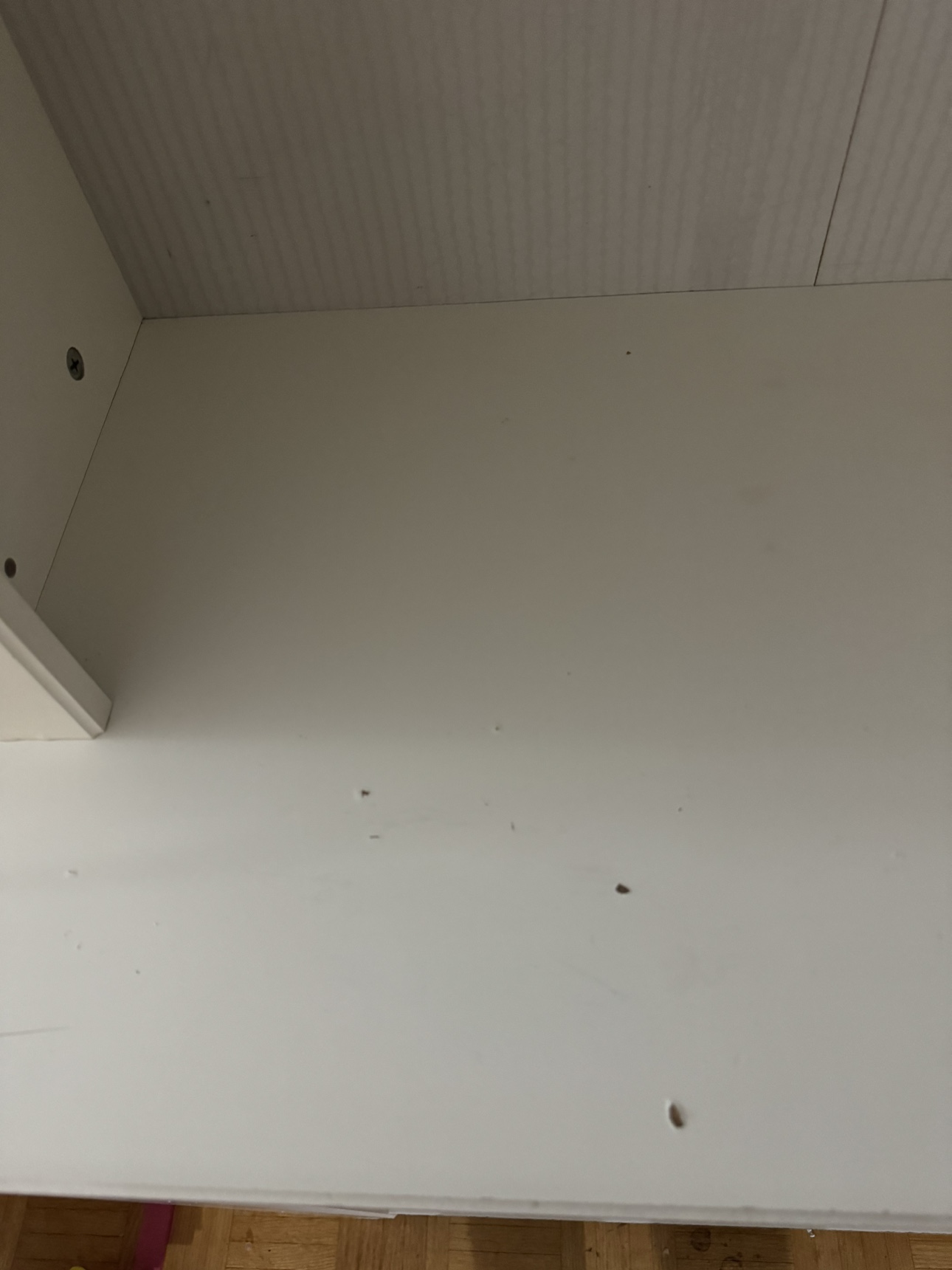 White Book Shelf - photo 2