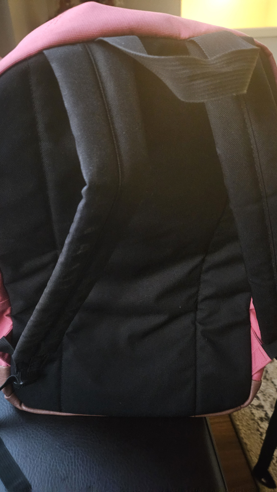 JanSport Backpack - photo 2