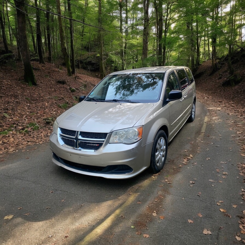 2014 Dodge Grand Caravan - photo 3