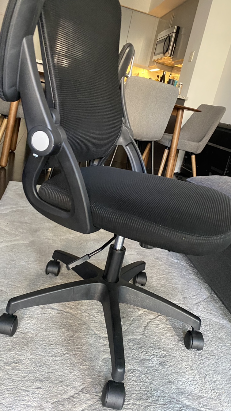 Office Chair with Adjustable Arms - photo 5