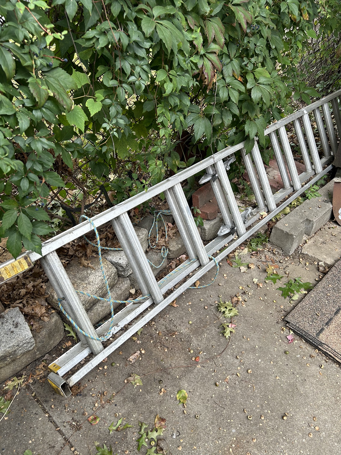 38 ft. Aluminum Extension Ladder