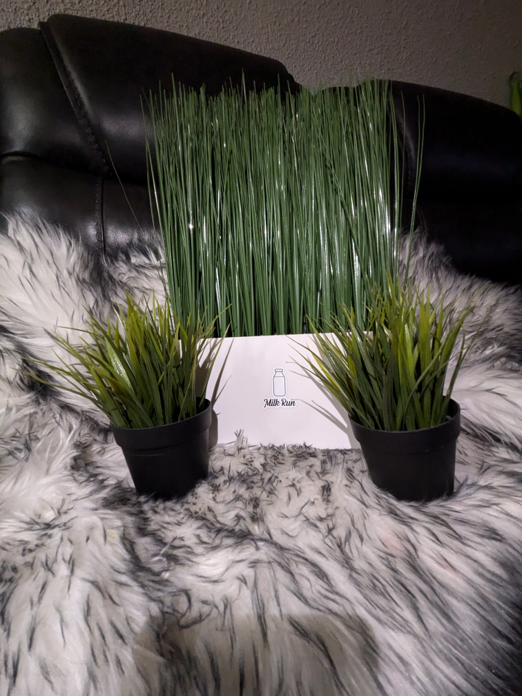 artificial plants