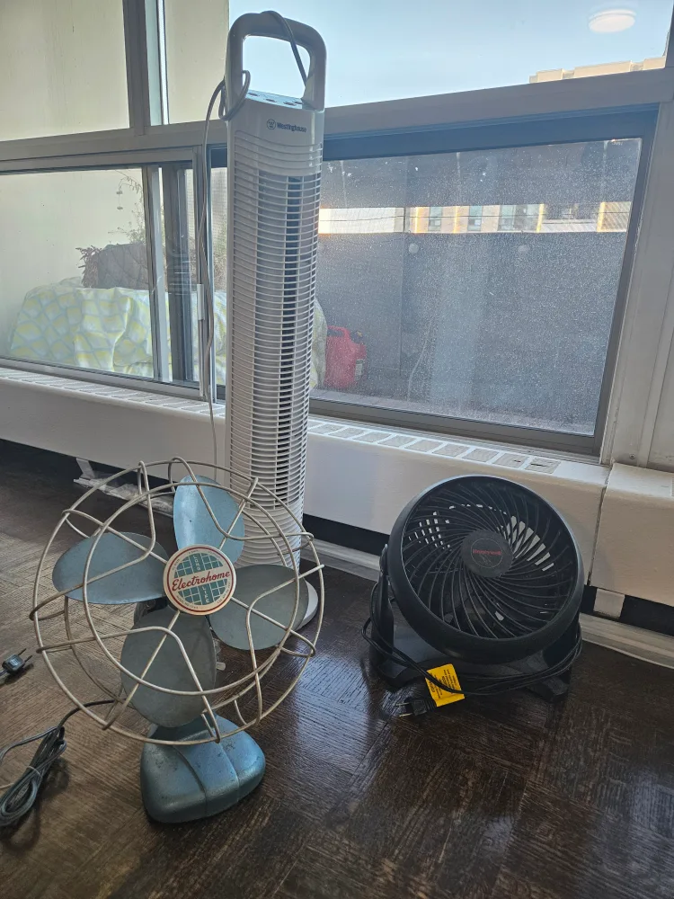 Moving sale: 3 Fans thumbnail