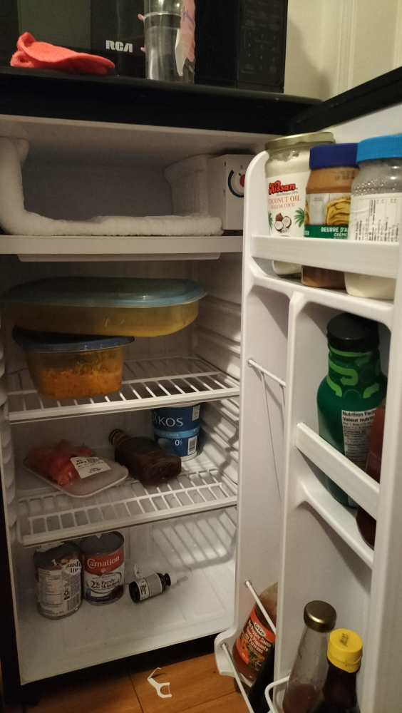 Danby Mini Fridge - photo 2