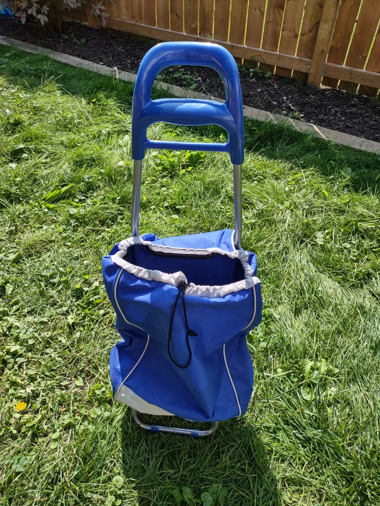 Rolling Shopping Cart thumbnail