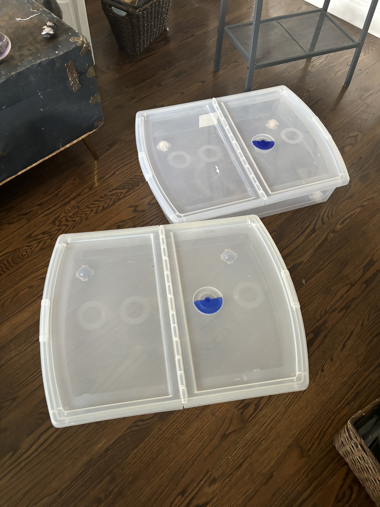 Clear Storage Bins