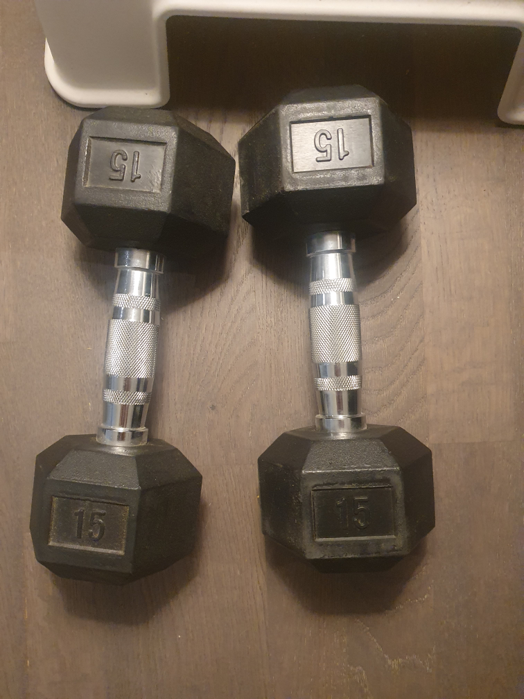 15 lb Dumbbells