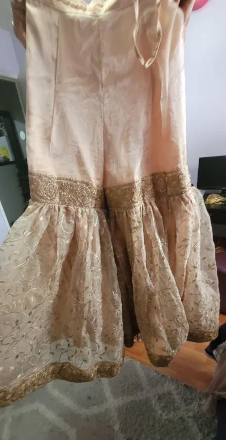 Beige Pakistani Suit image indicator(5)