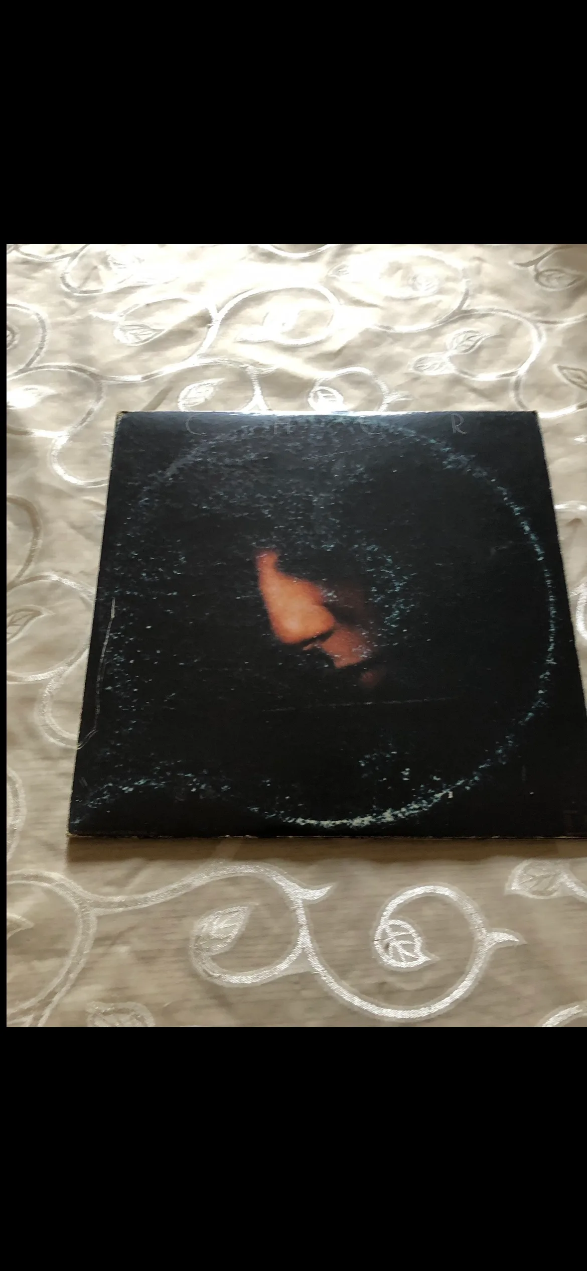 Vintage Cher Double Album Set image indicator(2)