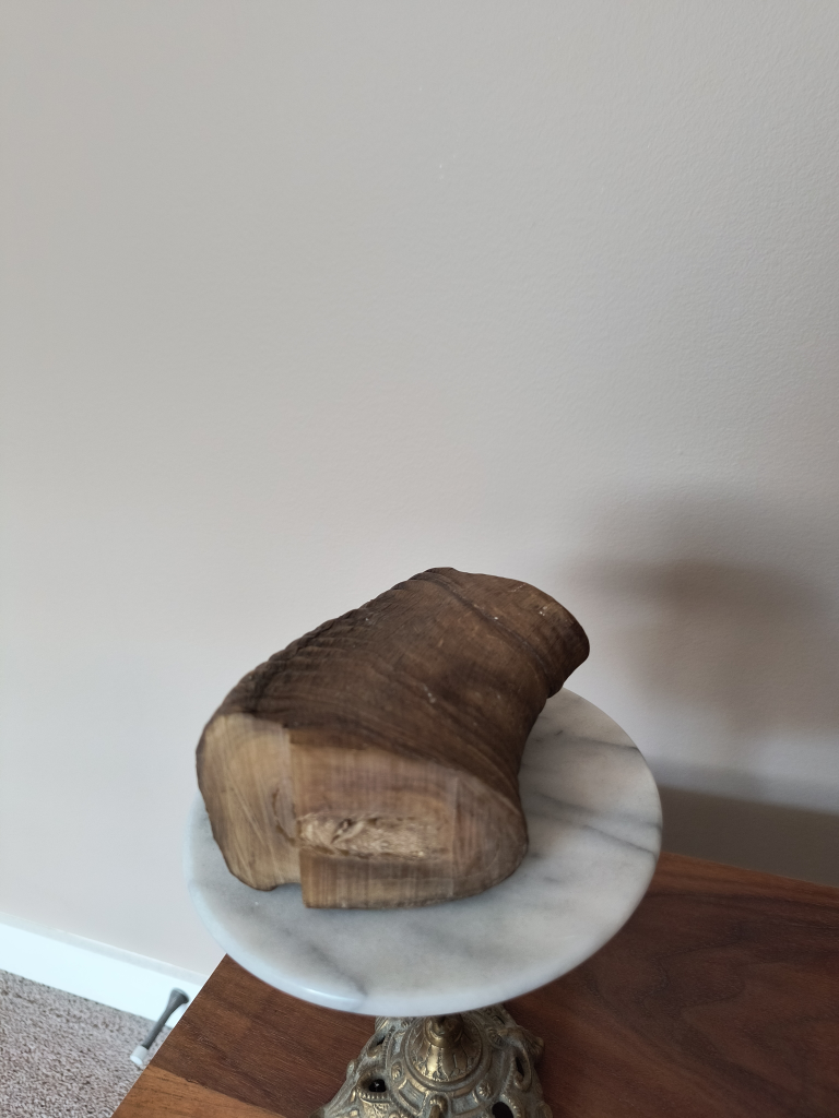Large Animal Horn - photo 4
