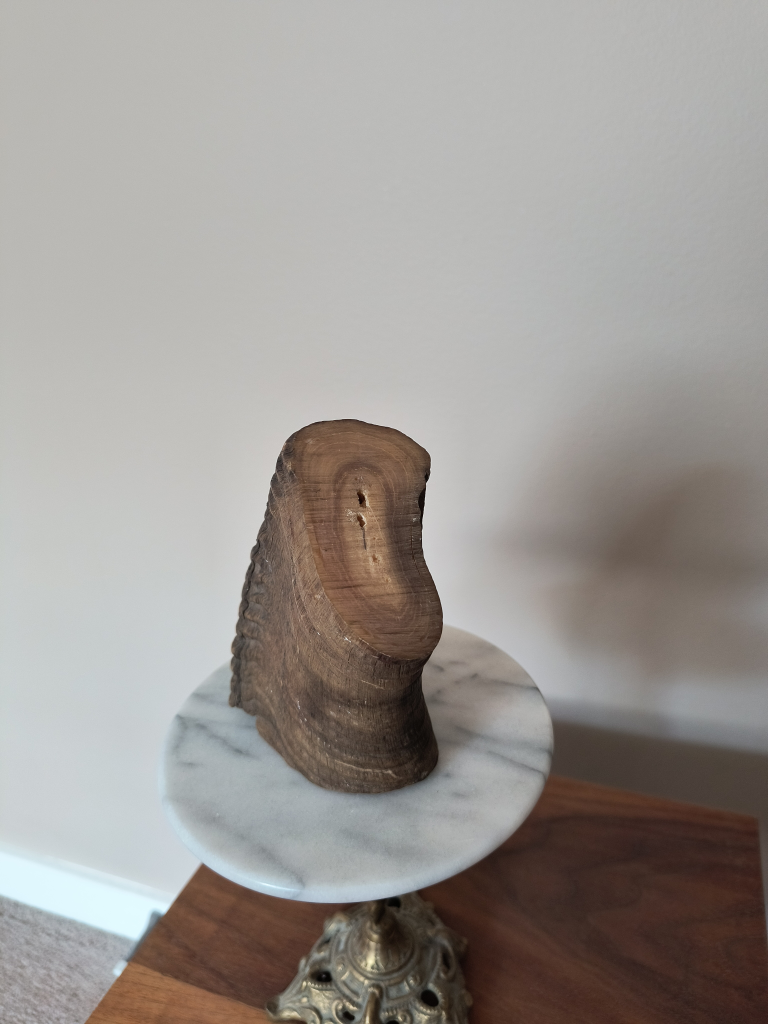 Large Animal Horn - photo 5