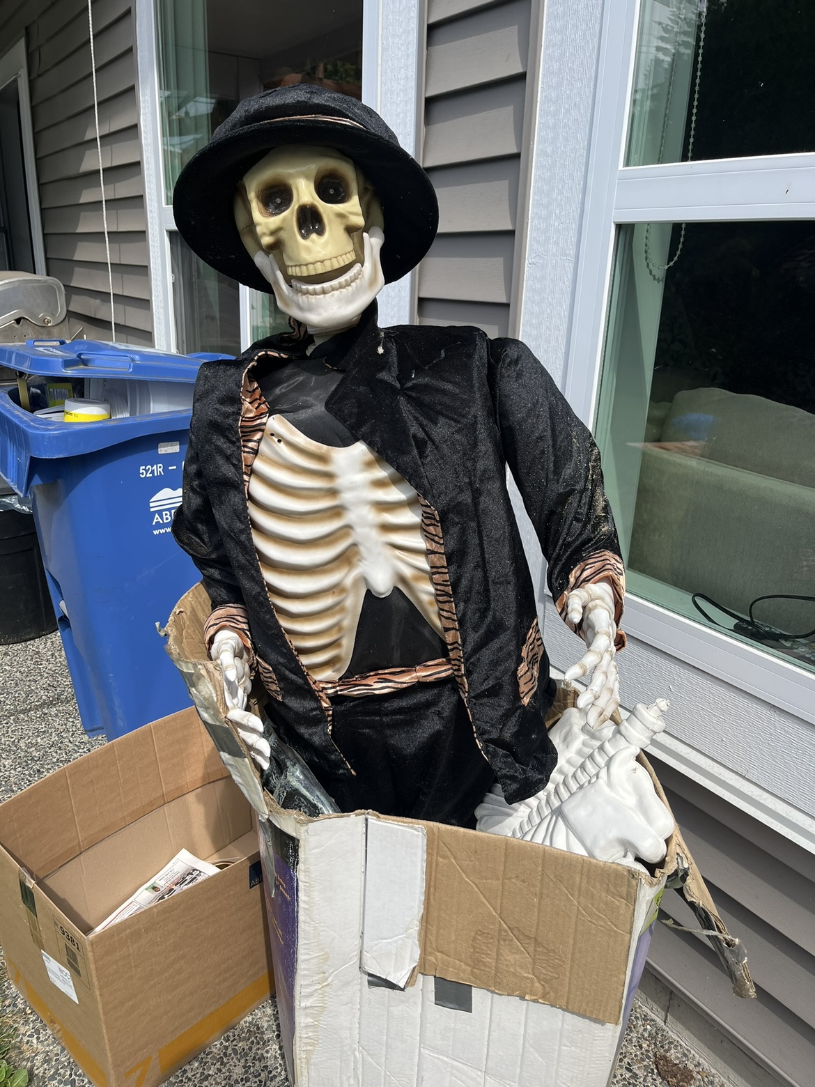Dancing Skeleton