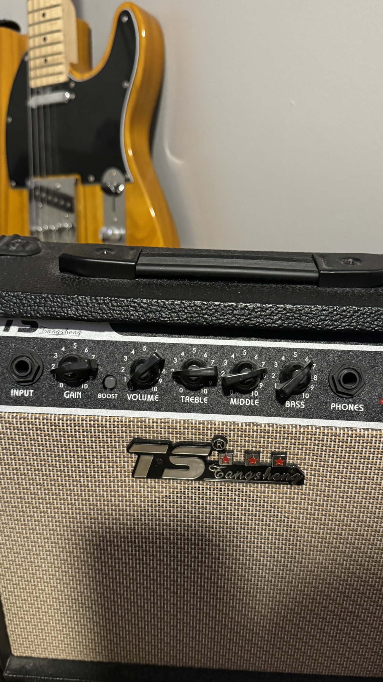 Electric Guitar and Amp - photo 5