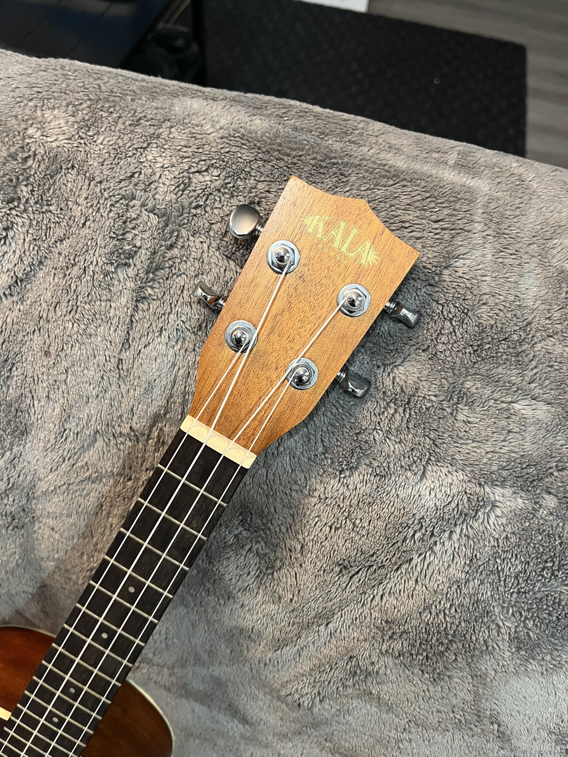 Kala Concert Ukulele with Levys Case and Capo - photo 4