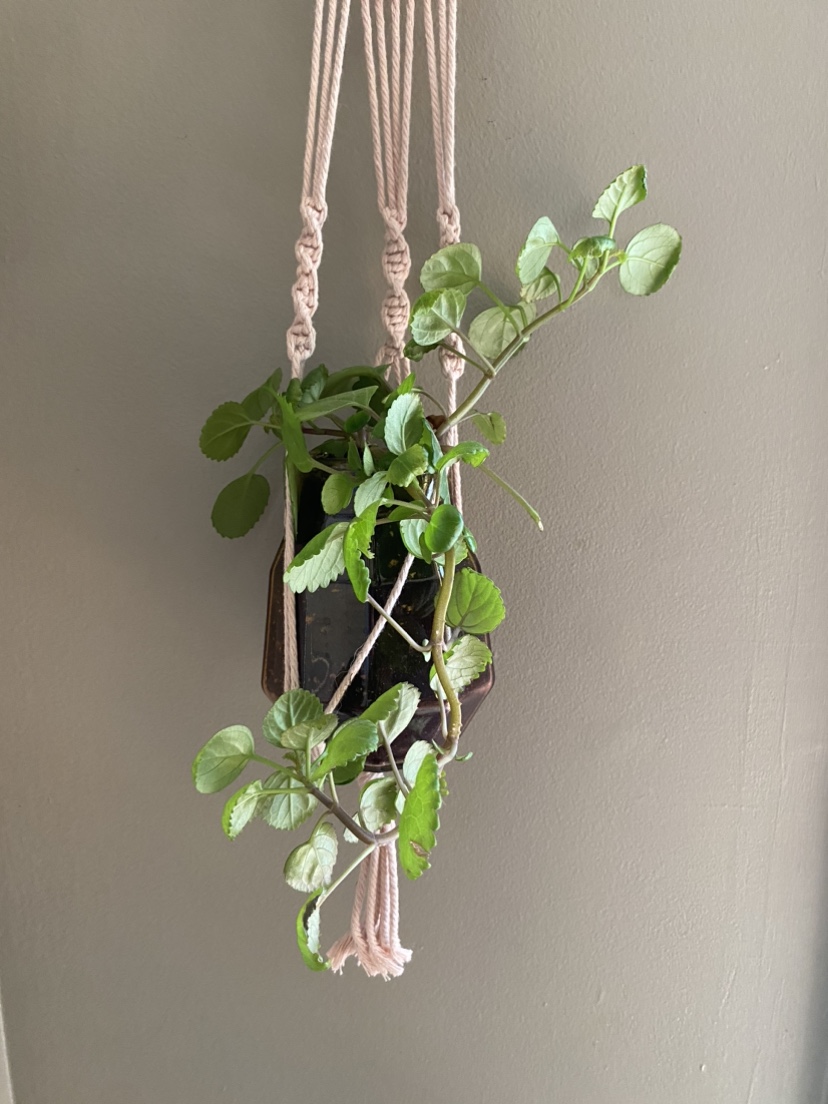 Macrame Plant Hanger - photo 3