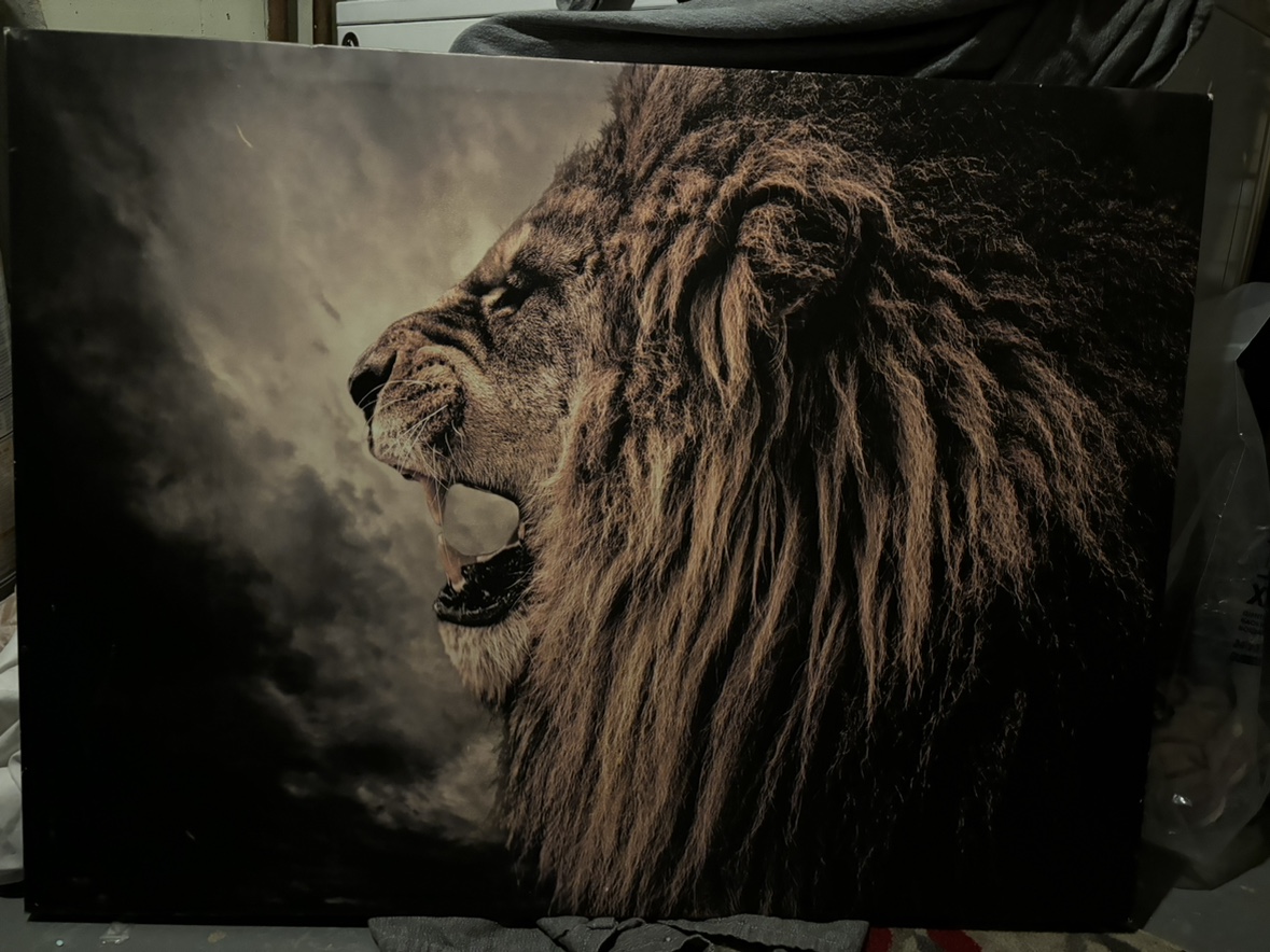 Lion Canvas Wall Art