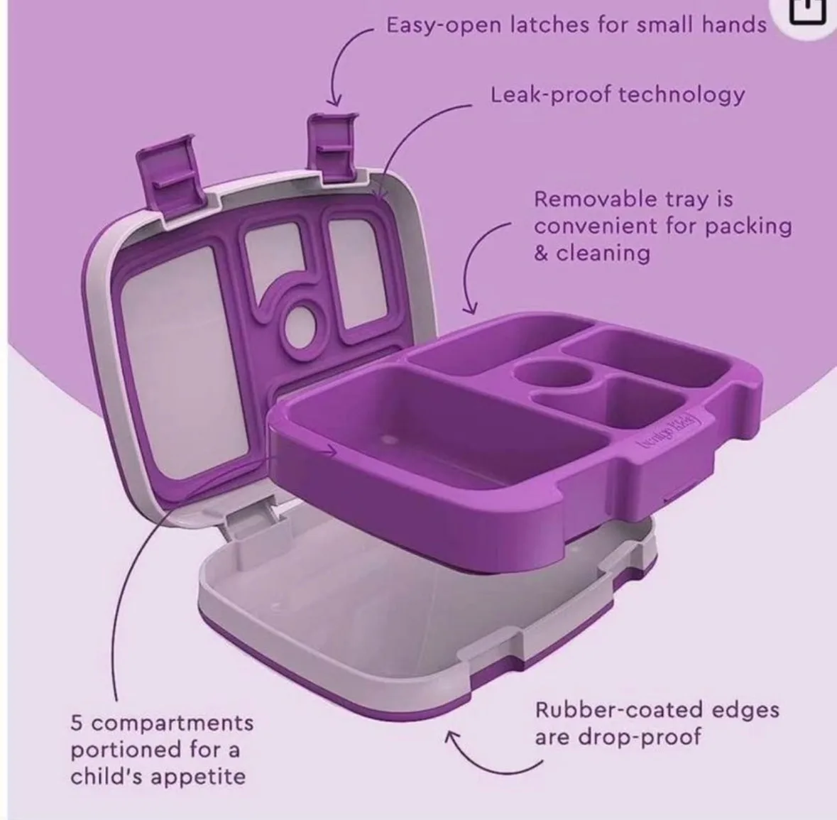 Purple NEW Bento box image indicator(2)