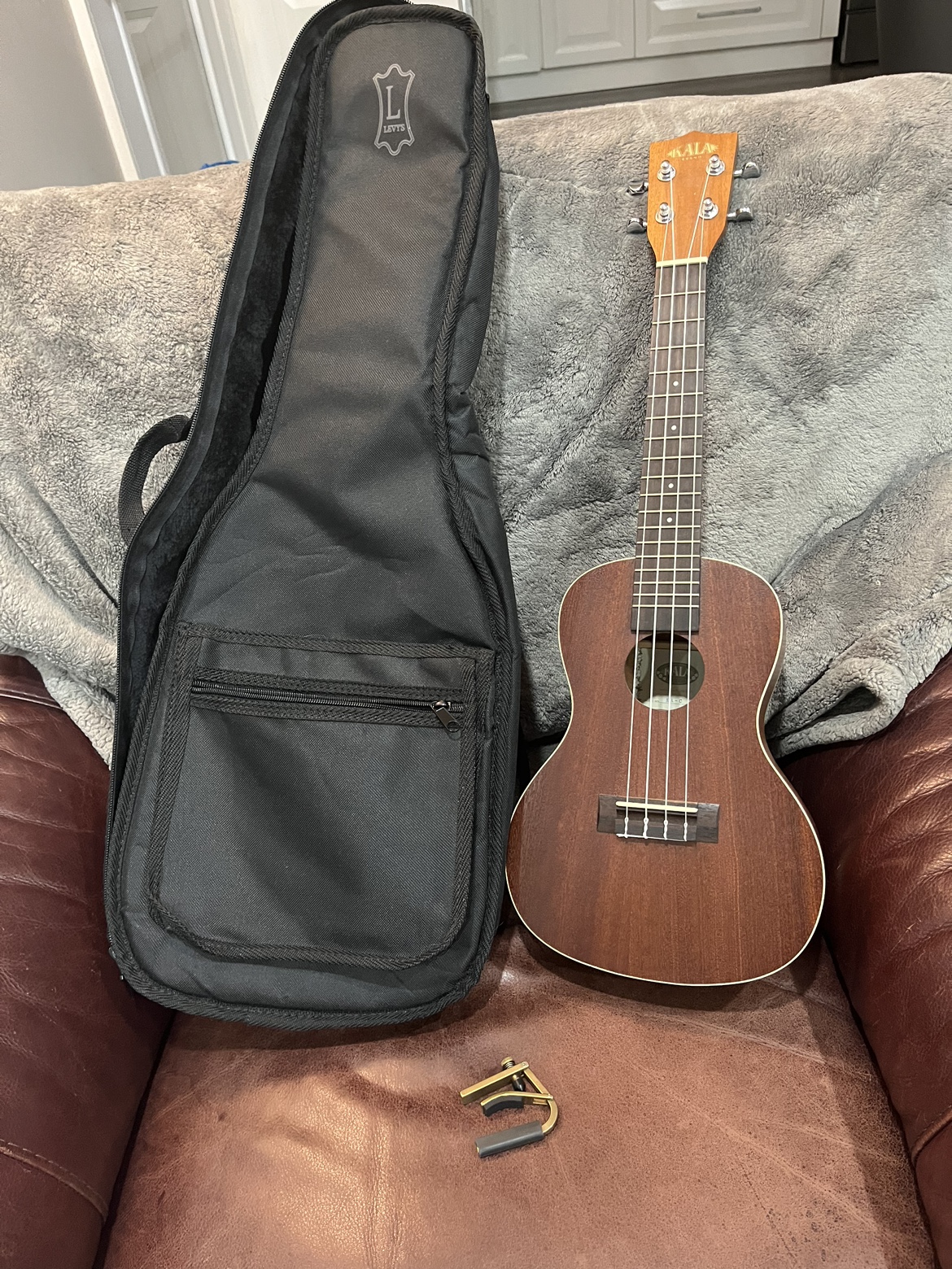 Kala Concert Ukulele with Levys Case and Capo
