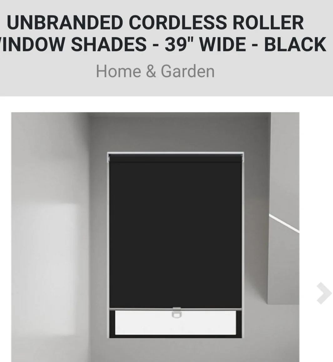 Cordless Roller Window Shade - Black