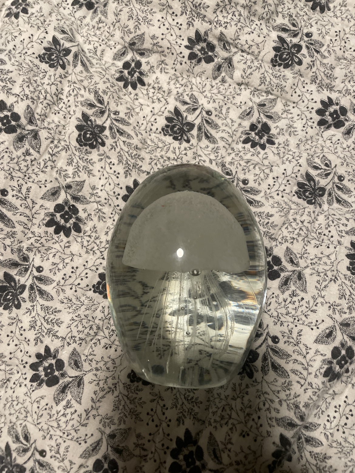 Glass Jellyfish Paperweight #freecycle