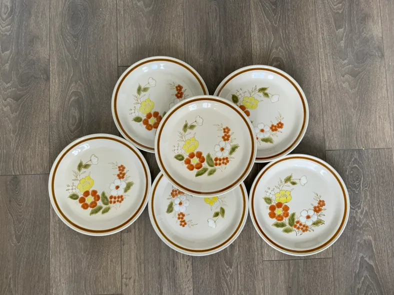 Vintage Dinner Plates, Mountain Wood Collection thumbnail