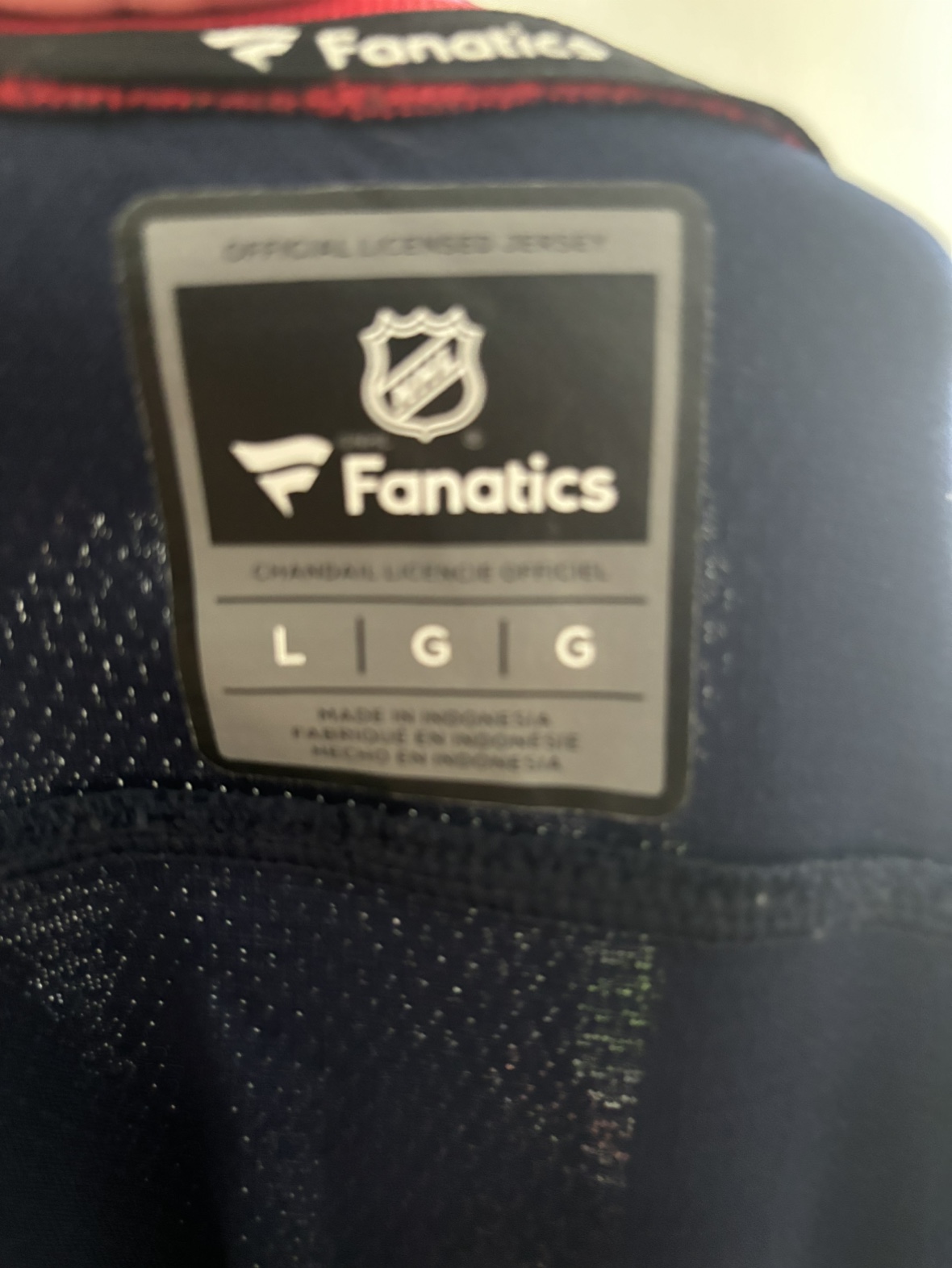 Winnipeg Jets Jersey