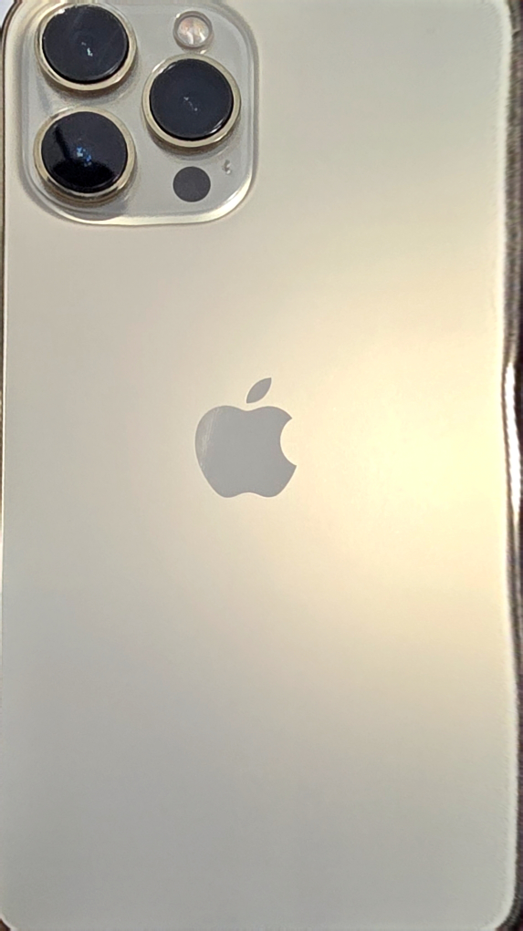 iPhone 13 Pro Max - photo 5