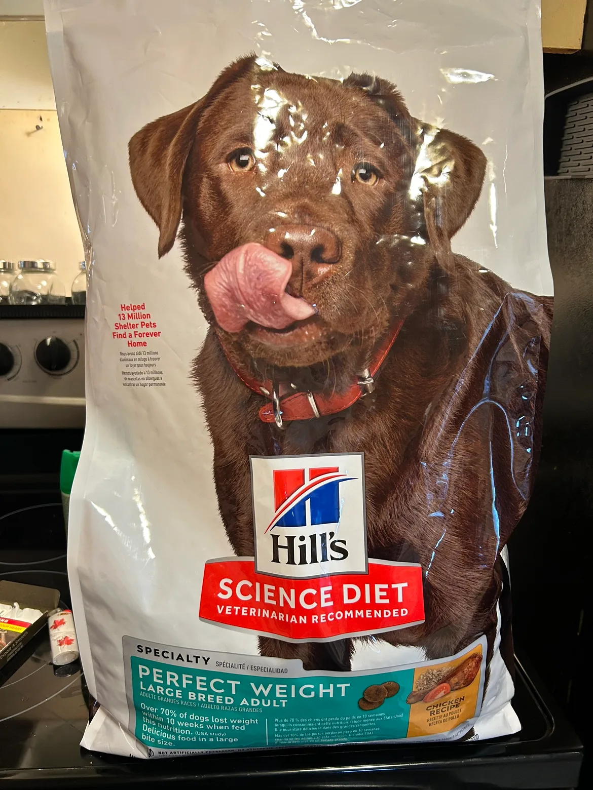Dog food thumbnail