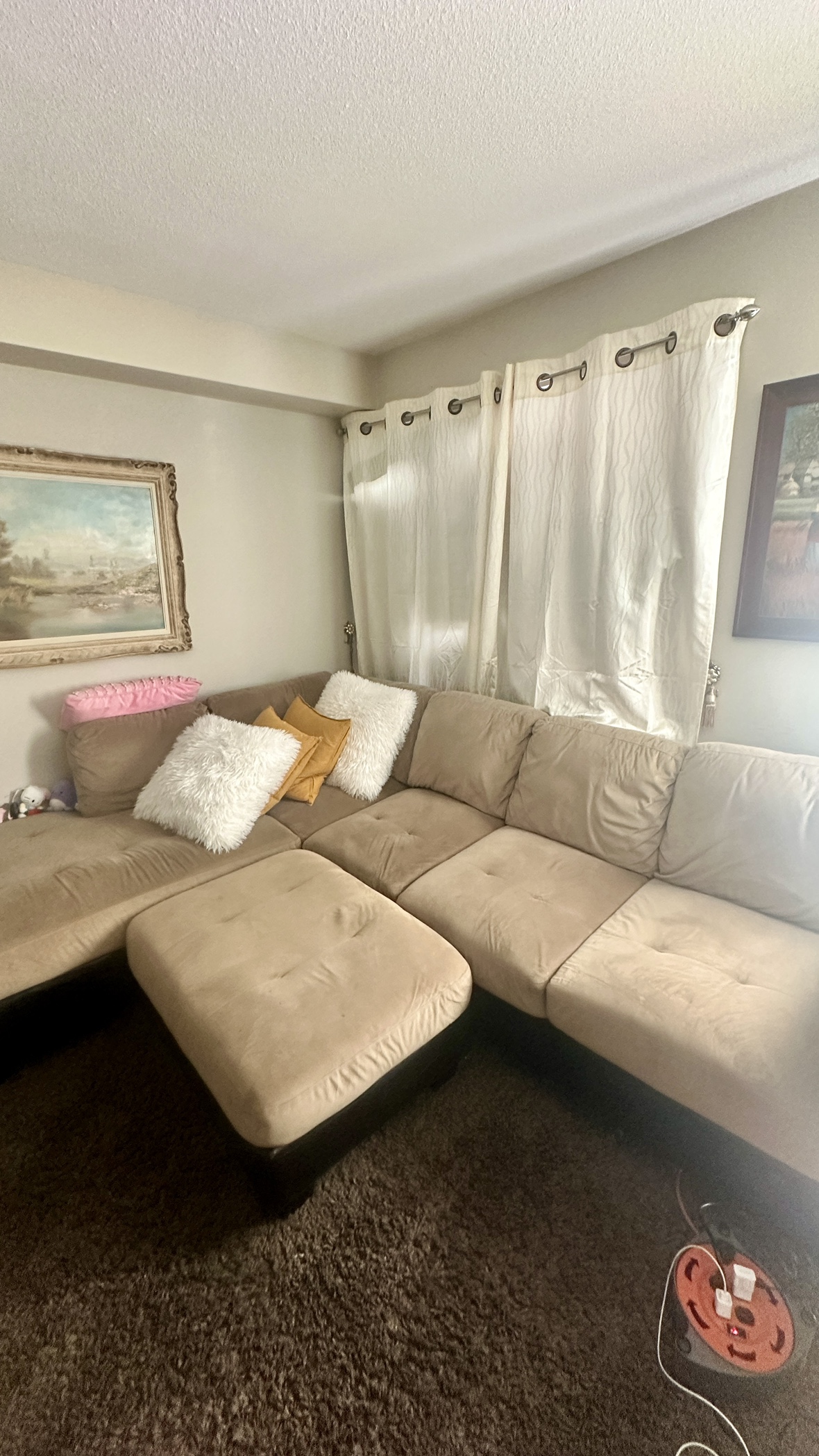 Sectional couch