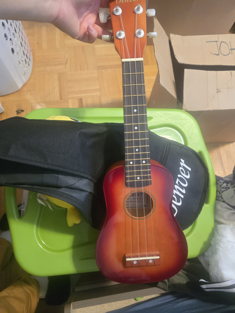 Denver Ukulele with Case