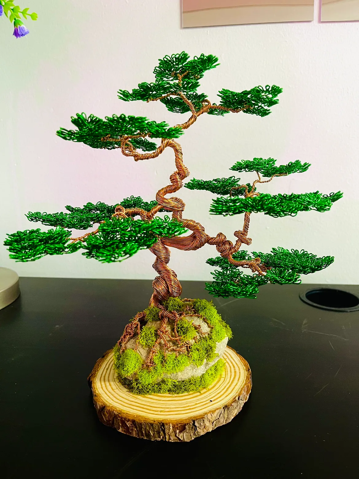 Bonsai wire tree image indicator(5)