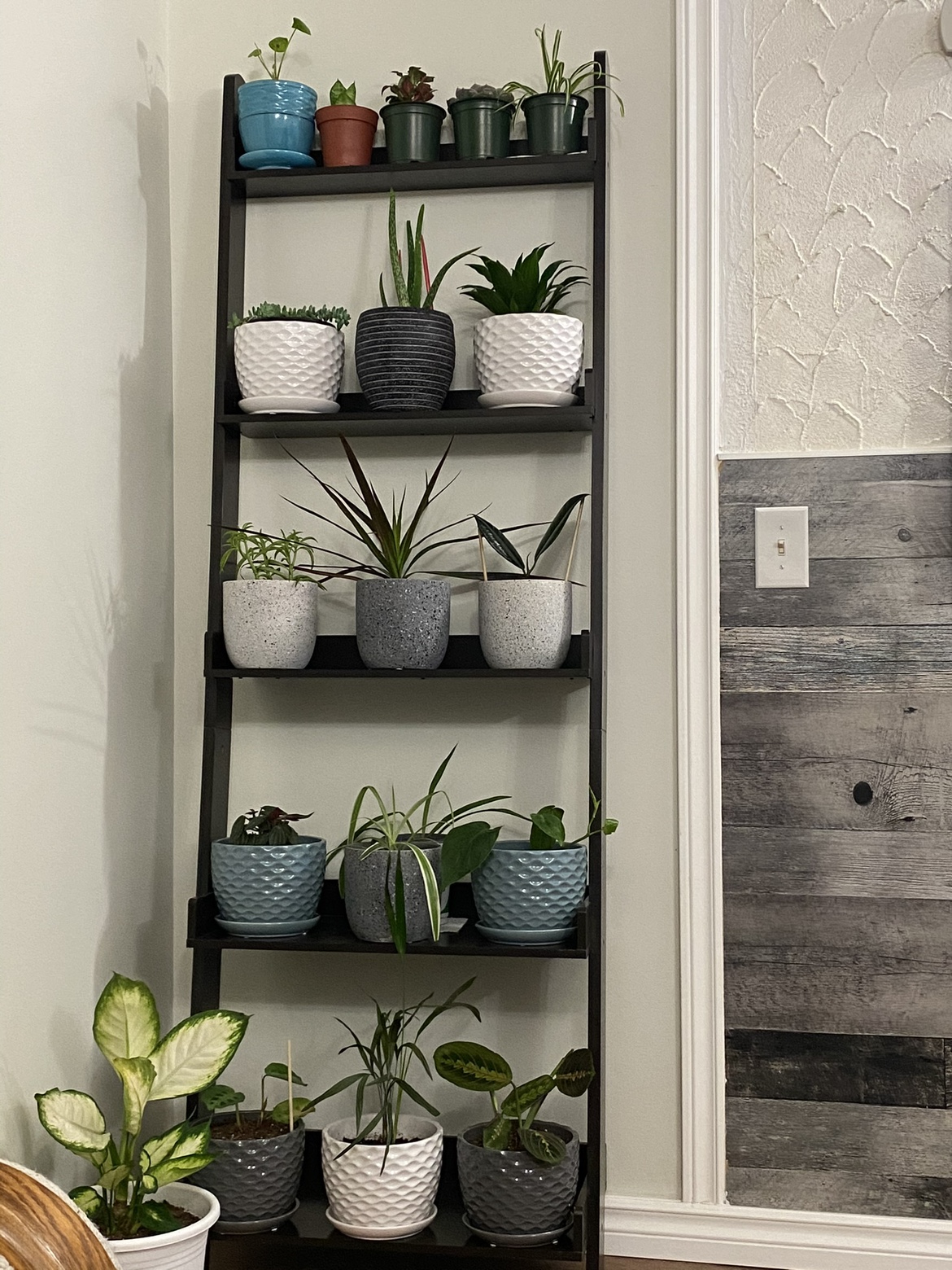 Plant Shelf in white color