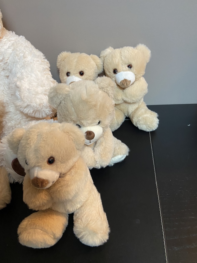 Set of 10 Teddy Bears - photo 3