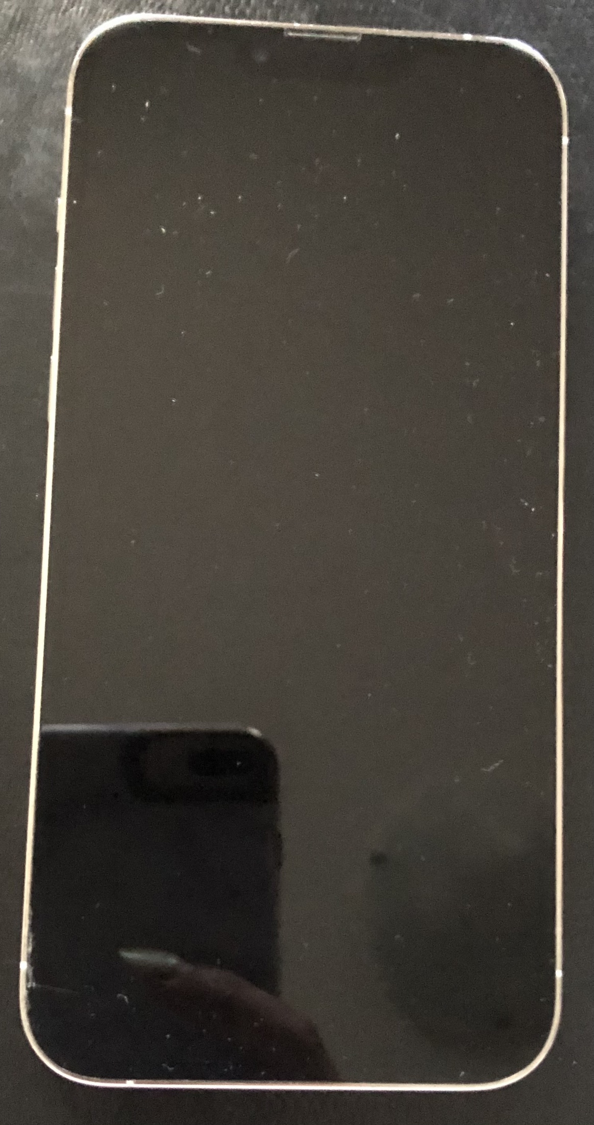 iPhone 13 Pro Max - Silver - photo 2