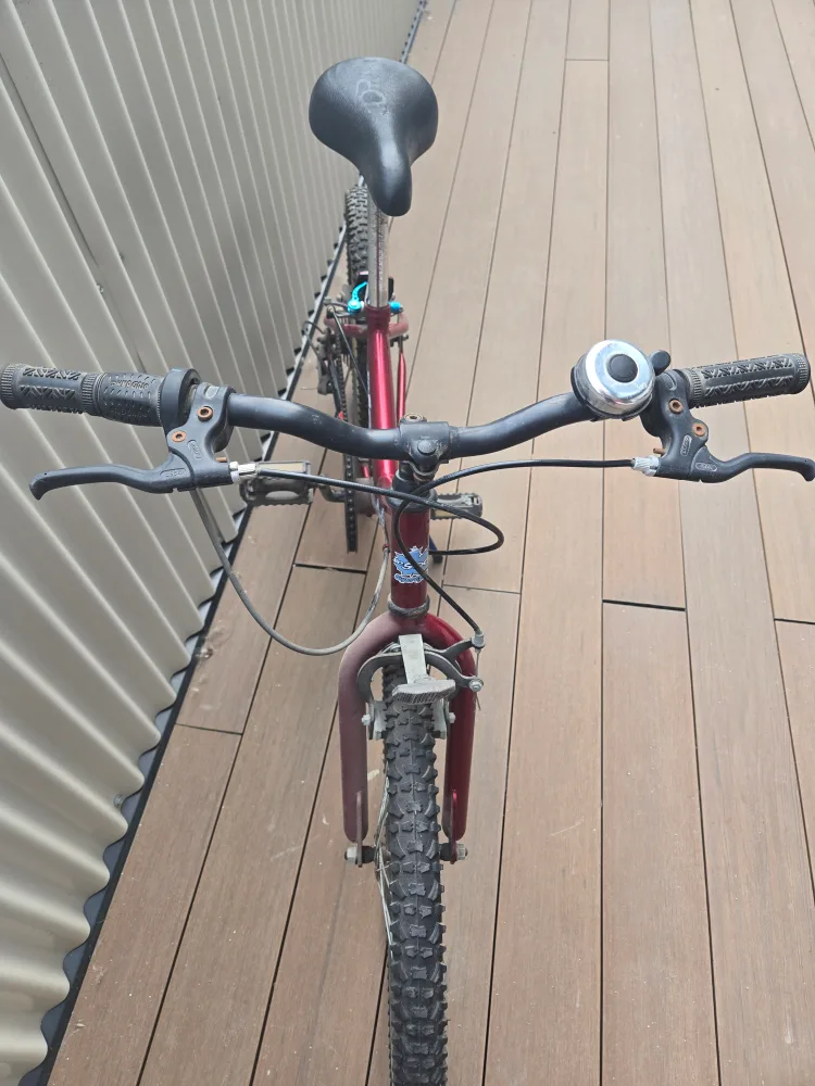 Supercycle 2000 Bicycle image indicator(2)