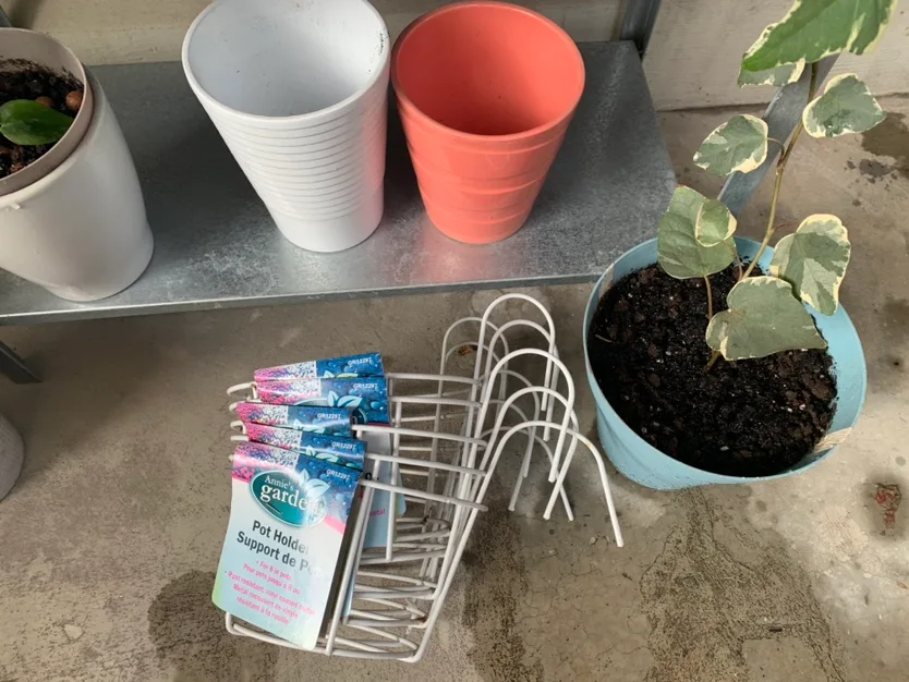 $40 for All Plants+ pots+ potting mix image indicator(6)